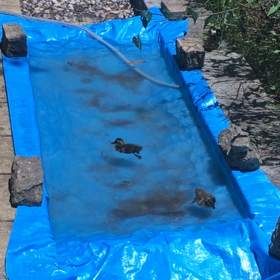 現状維持、そのまま維持の画像