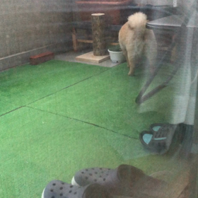 トイレ練習の画像