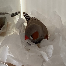 キモティー‼︎の画像