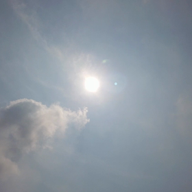 暑い一日の画像