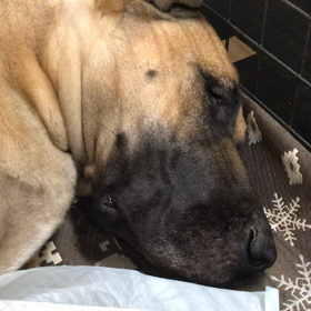 肝っ玉母さんですの画像