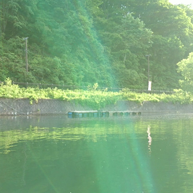 本日の桧原湖の画像