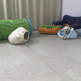 ♪プレイルーム動画♪の画像