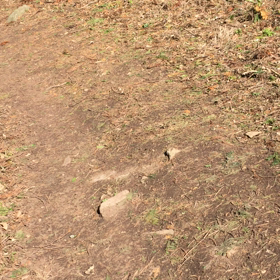 可也山山頂〜ビデオの画像