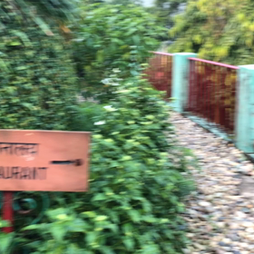 インド リシケシ修行㊺の画像