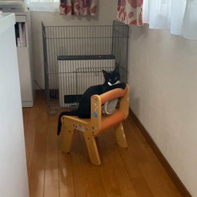 ごはん容器をひっくり返すの画像