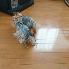 ねぇ、遊ぼう("⌒∇⌒")の画像