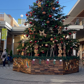 深夜の嘆きーの画像