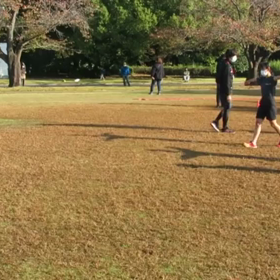 10月29日 股関節・大股歩行⑤の画像