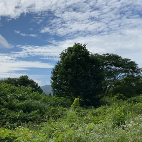 “自然と音遊び” プロジェクト vol.069！の画像