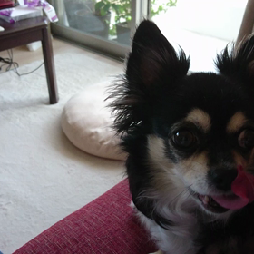 ジルちゃん動画イチの画像