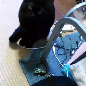 No.71 終わりの刻‥の画像