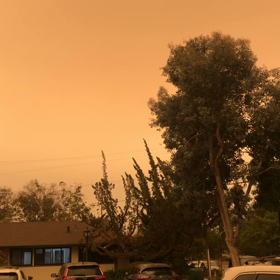 この世の終わり…？の画像