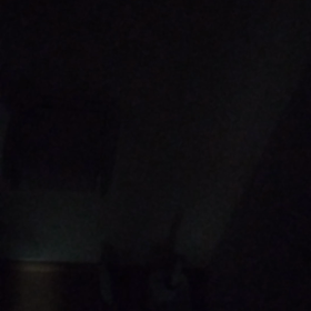 2023/02/01　ゴーッという大きな音の画像