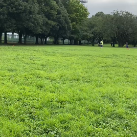 1000m(１組目)※記録会以外②の画像