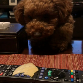 今年の目標？の画像