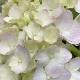 “自然と音遊び” プロジェクト vol.034！の画像