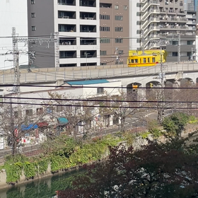 イエロードクターの画像