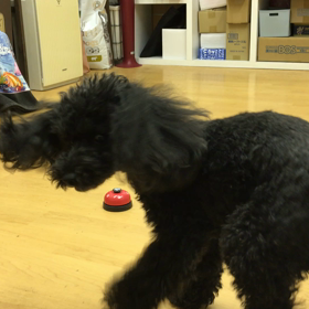 プリン編。の画像