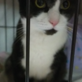 気分転換？の画像