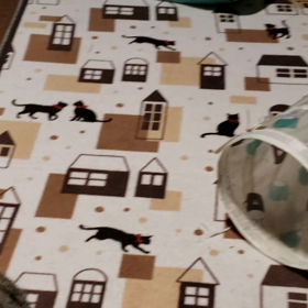 持ち逃げの画像