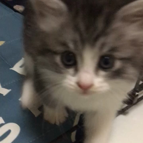 穏やか～の画像