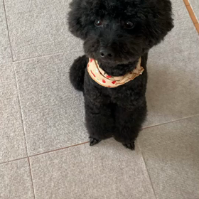 2021 コロナワクチン。の画像