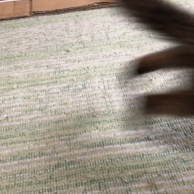 朝の運動、その1の画像