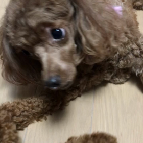 寒がり？の画像