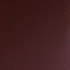 オカメインコの雛の画像