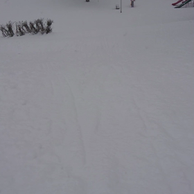 南平岸高台公園での画像