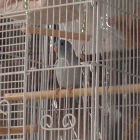 再度チャレンジ！の画像