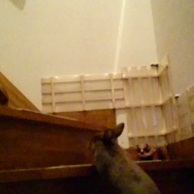 久しぶりの階段～♪の画像