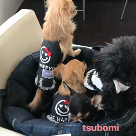 定休日！の画像