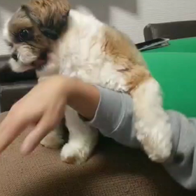 遊ぶ(ノ∀≦。)ノの画像