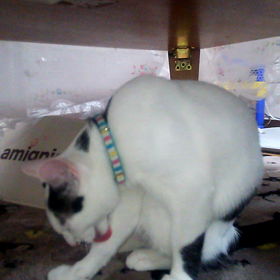 ビックリな雨の画像