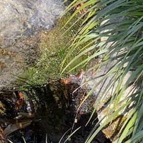 自然に近い環境にいることの画像