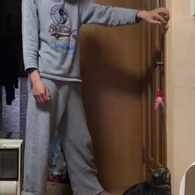 ネコキャッチ選手権（笑）の画像