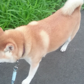 夏、近づいてくるの画像