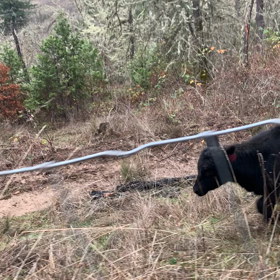 今日のブーツの画像