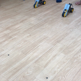 ミニレース スタート！！の画像