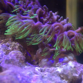 水流ポンプ 動画編の画像