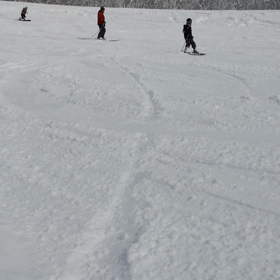 とゆー事で…の画像