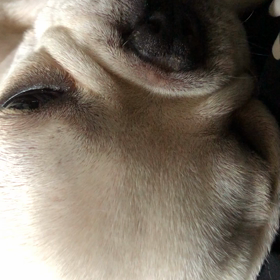 今日のふみ君  天使と悪魔の画像