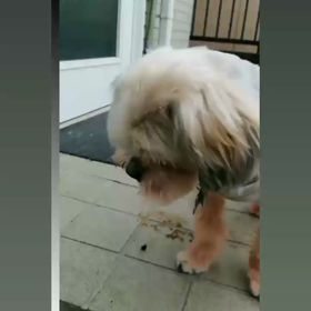 今日も元気に♪の画像