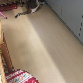 立山登山に行ってきますの画像