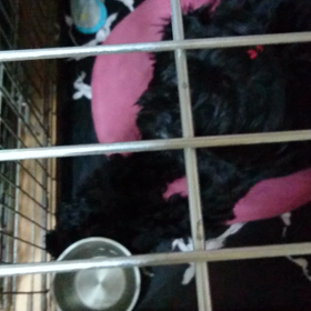 あーぁ、の画像