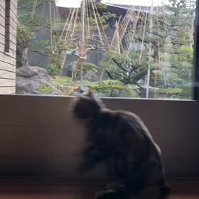 雪と遊ぶの画像