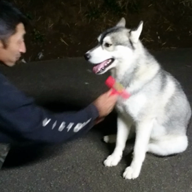 動画三本立て～ブラッシング・おんぶ・足洗の画像