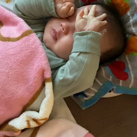 カメラが嫌いの画像